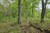 Homesite for sale in Van Buren County, Michigan