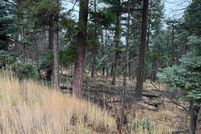 Undeveloped Land for sale in Colfax County, New Mexico