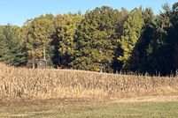 Undeveloped Land for sale in Mecosta County, Michigan