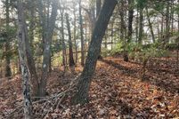 Undeveloped Land for sale in Gilmer County, Georgia