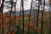 Land for sale in Gilmer County, Georgia