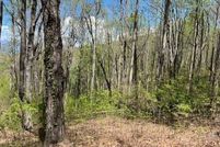 Land for sale in Towns County, Georgia