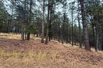 Timberland Property for sale in Colfax County, New Mexico