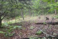 Timberland Property for sale in Sainte Genevieve County, Missouri