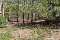 Undeveloped Land for sale in Litchfield County, Connecticut