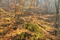 Farm and Ranch for sale in Floyd County, Kentucky