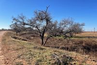 Land for sale in Scurry County, Texas
