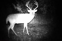 Land for sale in Franklin County, Kansas