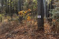 Land for sale in Bossier Parish, Louisiana