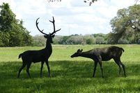 Land for sale in Fayette County, Texas