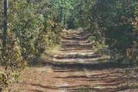 Land for sale in Marion County, Florida