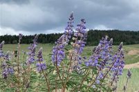 Recreational Property for sale in Park County, Colorado