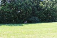 Land for sale in Coles County, Illinois