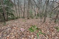 Undeveloped Land for sale in Patrick County, Virginia
