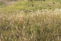 Land for sale in Polk County, Wisconsin