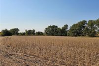 Land for sale in Kandiyohi County, Minnesota