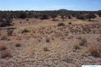 Timberland Property for sale in Grant County, New Mexico
