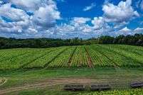 Land for sale in  , North Carolina