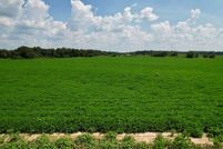 Homesite for sale in Houston County, Alabama