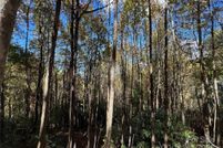 Land for sale in Henderson County, North Carolina