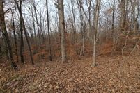 Undeveloped Land for sale in  , Virginia