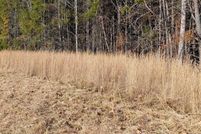 Land for sale in Davie County, North Carolina