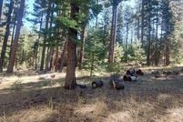 Land for sale in Modoc County, California