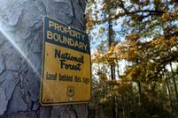 Timberland Property for sale in Perry County, Mississippi