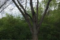 Land for sale in Jefferson County, Alabama