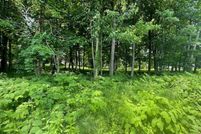 Timberland Property for sale in  , Connecticut