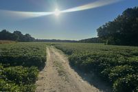 Land for sale in Wilson County, North Carolina