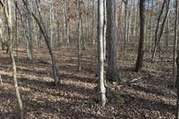 Undeveloped Land for sale in  , Tennessee