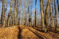 Land for sale in Cass County, Minnesota