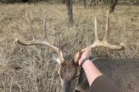 Land for sale in Jones County, Texas