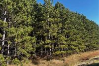 Homesite for sale in Douglas County, Minnesota