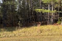 Undeveloped Land for sale in  , South Carolina