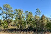 Land for sale in Jackson County, Florida