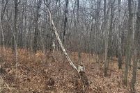 Undeveloped Land for sale in Morrison County, Minnesota