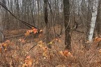 Land for sale in Morrison County, Minnesota