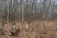 Homesite for sale in Morrison County, Minnesota