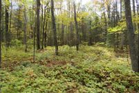 Undeveloped Land for sale in Sawyer County, Wisconsin
