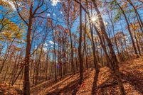 Undeveloped Land for sale in Adams County, Ohio