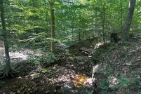 Land for sale in Pike County, Ohio