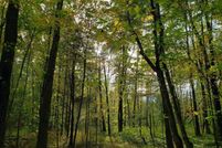 Timberland Property for sale in Clermont County, Ohio