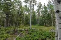 Homesite for sale in Park County, Colorado