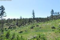 Homesite for sale in Douglas County, Colorado