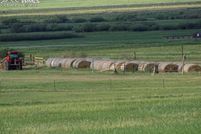 Undeveloped Land for sale in Custer County, Colorado