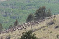 Land for sale in Park County, Colorado