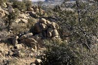 Land for sale in Yavapai County, Arizona