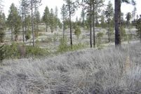 Land for sale in Lincoln County, Washington